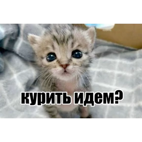liookkl — стикер для MAX
