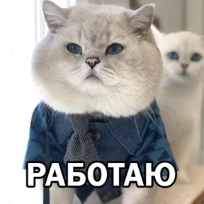 Стикер