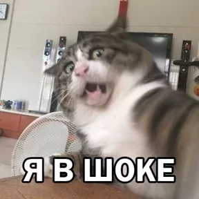 Стикер