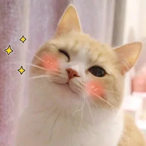 Котятки — стикер для MAX