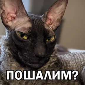 Стикер