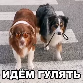 Стикер