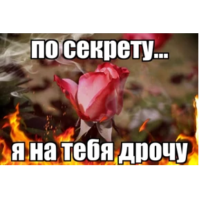 Для пошлых — стикер для MAX