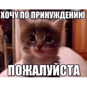 Для пошлых — стикер для MAX