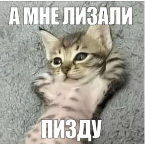 Для пошлых — стикер для MAX
