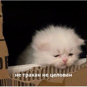 Для пошлых — стикер для MAX
