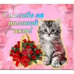 Для пошлых — стикер для MAX