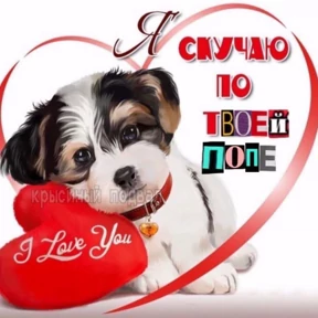 Для пошлых — стикер для MAX