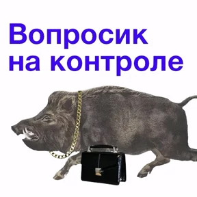 СтикерКвин — стикер для MAX