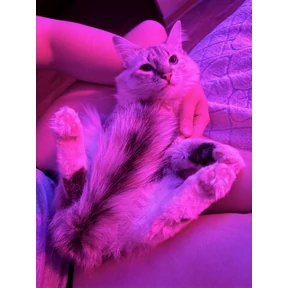 Стеша — стикер для MAX