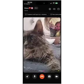Стеша — стикер для MAX