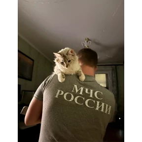 Стеша — стикер для MAX