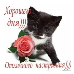 Стикер из сообщения канала