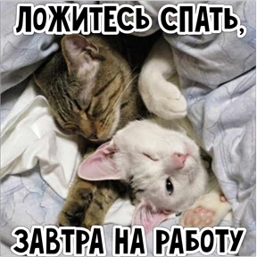 Утро,вечер,ночь от Ириски — стикер для MAX