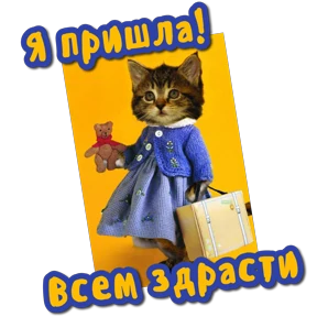 Утро,вечер,ночь от Ириски — стикер для MAX