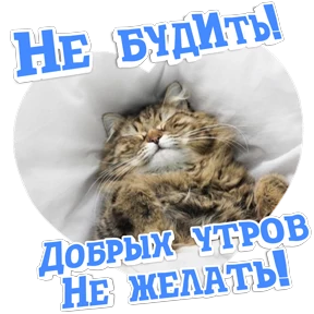 Утро,вечер,ночь от Ириски — стикер для MAX