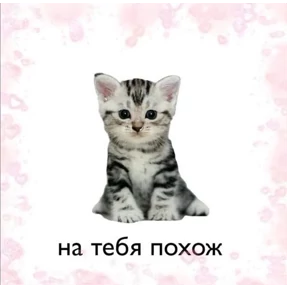 Okak — стикер для MAX