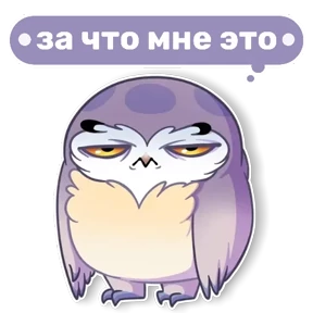 Совушка от t.me.NaumkaPak — стикер для MAX