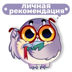 Совушка от t.me.NaumkaPak — стикер для MAX