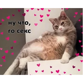 Okak — стикер для MAX