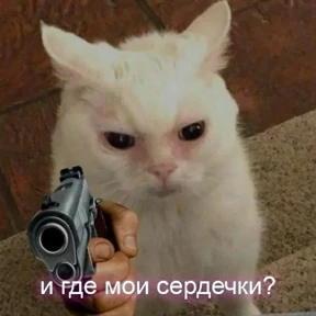 Okak — стикер для MAX