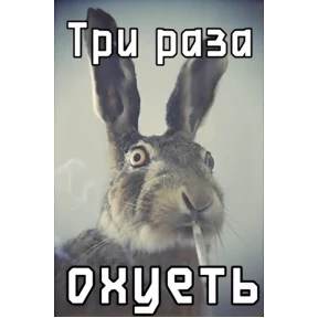 Все нормальни — стикер для MAX