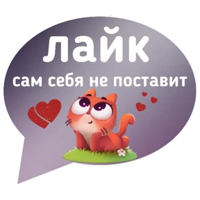 Котик от iimax.ru-NaumkaPak — стикер для MAX