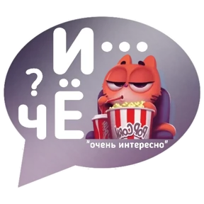 Котик от iimax.ru-NaumkaPak — стикер для MAX
