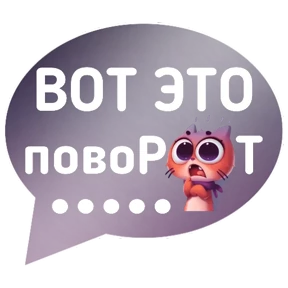 Котик от iimax.ru-NaumkaPak — стикер для MAX