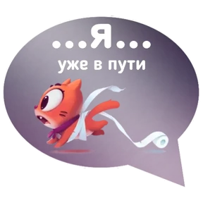 Котик от iimax.ru-NaumkaPak — стикер для MAX