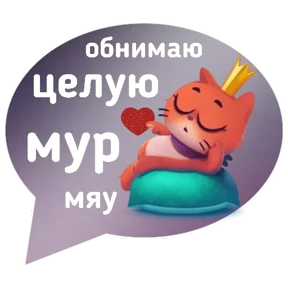 Котик от iimax.ru-NaumkaPak — стикер для MAX