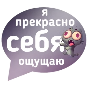 Котик от iimax.ru-NaumkaPak — стикер для MAX