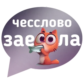 Котик от iimax.ru-NaumkaPak — стикер для MAX