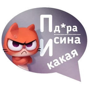 Котик от iimax.ru-NaumkaPak — стикер для MAX