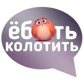 Котик от iimax.ru-NaumkaPak — стикер для MAX