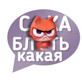 Котик от iimax.ru-NaumkaPak — стикер для MAX