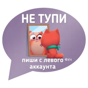 Котик от iimax.ru-NaumkaPak — стикер для MAX