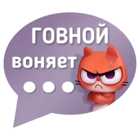 Котик от iimax.ru-NaumkaPak — стикер для MAX
