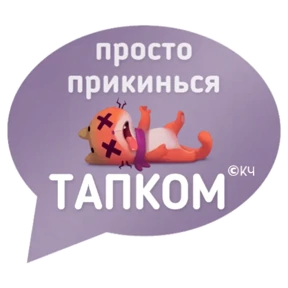 Котик от iimax.ru-NaumkaPak — стикер для MAX