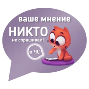 Котик от iimax.ru-NaumkaPak — стикер для MAX