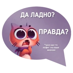 Котик от iimax.ru-NaumkaPak — стикер для MAX