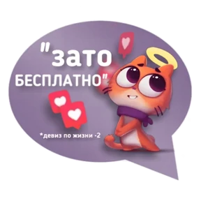 Котик от iimax.ru-NaumkaPak — стикер для MAX