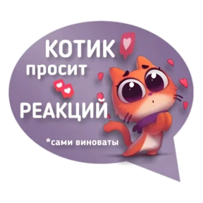 Котик от iimax.ru-NaumkaPak — стикер для MAX