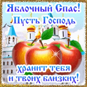 Фото — 18 августа 2026 г. в 23:00:04.051