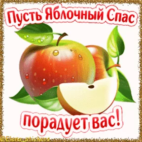 Фото — 18 августа 2026 г. в 23:00:04.489