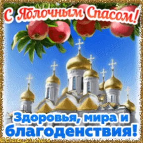 Фото — 18 августа 2026 г. в 23:00:04.691