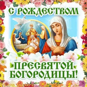 Стикер