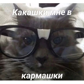 Чилл герл — стикер для MAX
