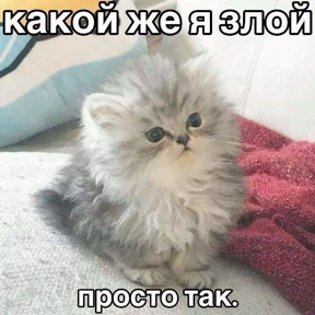 Чилл герл — стикер для MAX