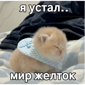 Чилл герл — стикер для MAX